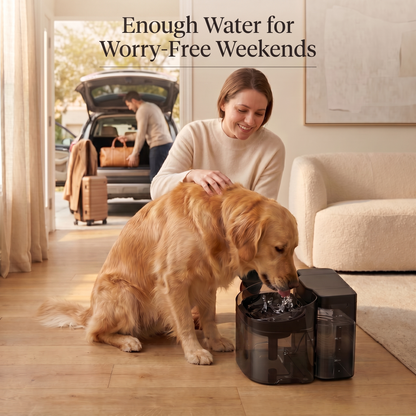AquaWell - Two Tank Dog Water Fountain